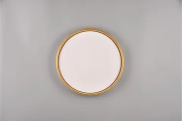 LED-Kattovalaisin Doha 45cm Mattamessinki - TRIO - Valaistus - Sisävalaistus & lamput - Olohuoneen valaisin
