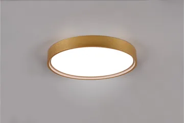 LED-Kattovalaisin Doha 45cm Mattamessinki - TRIO - Valaistus - Sisävalaistus & lamput - Olohuoneen valaisin
