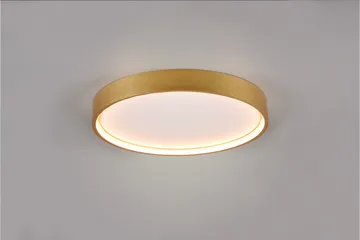 LED-Kattovalaisin Doha 45cm Mattamessinki - TRIO - Valaistus - Sisävalaistus & lamput - Olohuoneen valaisin