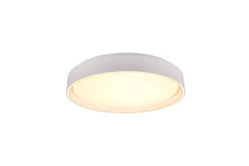 LED-Kattovalaisin Felis 40 cm Mattavalkoinen - TRIO - Valaistus - Sisävalaistus & lamput - Olohuoneen valaisin