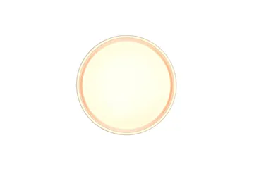 LED-Kattovalaisin Felis 40 cm Mattavalkoinen - TRIO - Valaistus - Sisävalaistus & lamput - Olohuoneen valaisin