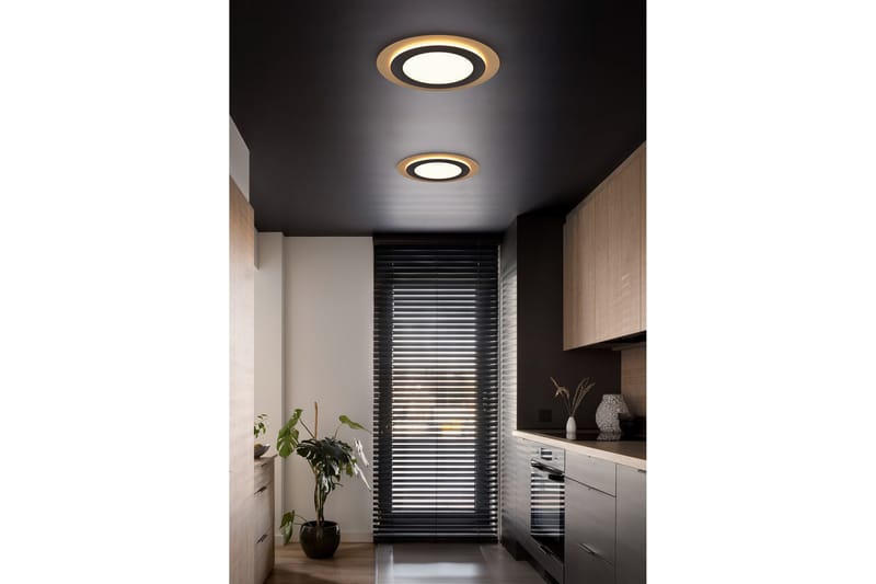 LED-Kattovalaisin Morgan Mattamusta/Kulta - TRIO - Valaistus - Sisävalaistus & lamput - Erikoisvalaisin - Tiffanylamppu