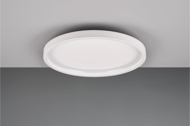 LED-Kattovalaisin Rotonda Pyöreä Mattavalkoinen - TRIO - Valaistus - Sisävalaistus & lamput - Erikoisvalaisin - Tiffanylamppu