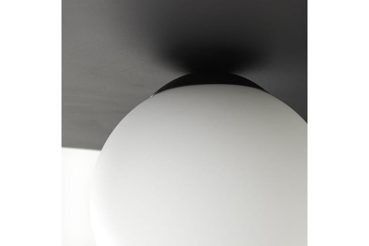 Zon Plafondi - Kattovalaisin
 - Plafondit - Olohuoneen valaisin - Tiffanylamppu