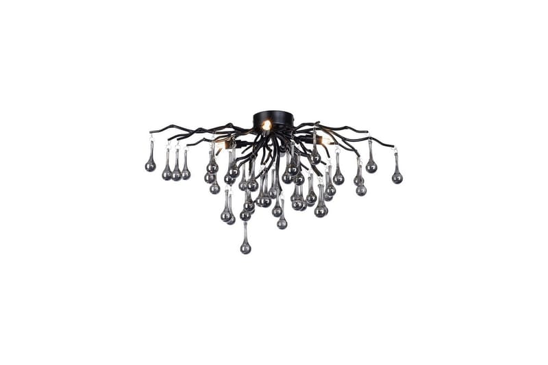 Istapp Paul Neuhaus Kattovalaisin, undefined