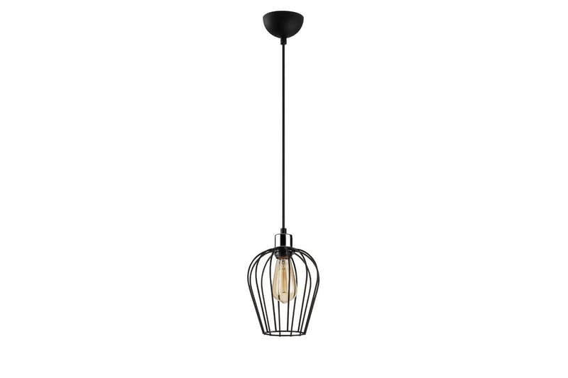 Kattokruunu Majrulali Musta Yksittäinen pistorasia, Yksittäinen pistorasia