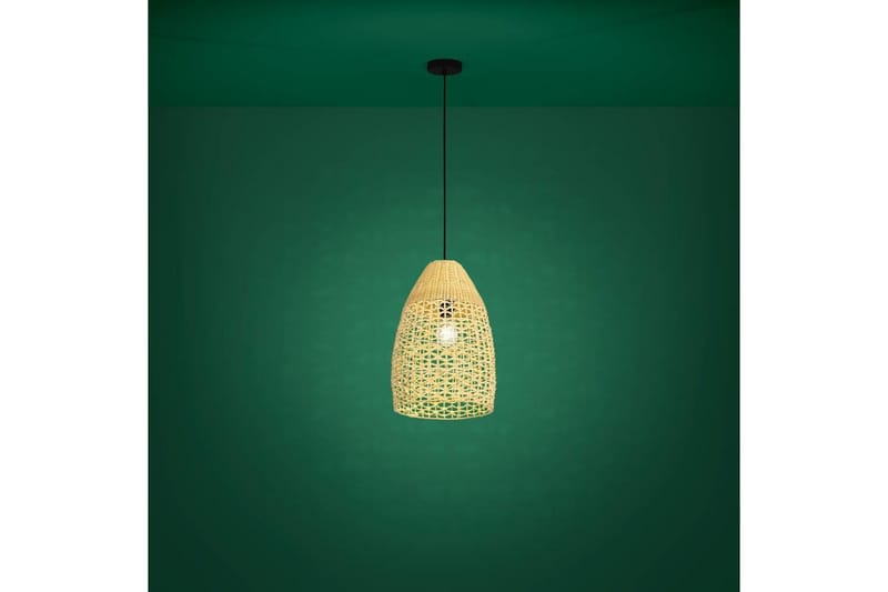 Kattopendel Eglo Sambucona Puu/Musta 35 cm - 35 cm - Valaistus - Sisävalaistus & lamput - Ikkunavalaisimet - Ikkunavalaisin riippuva