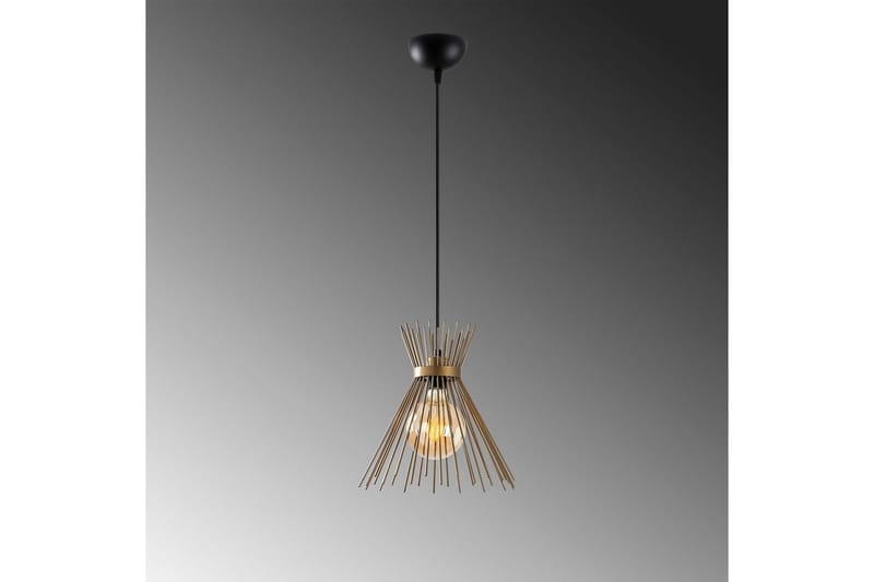 Kattovalaisin Afroz Musta Yksittäinen pistorasia - Yksittäinen pistorasia - Valaistus - Sisävalaistus & lamput - Ikkunavalaisimet - Ikkunavalaisin riippuva