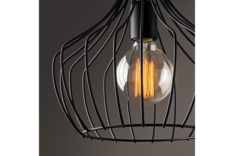 Kattovalaisin Benro Musta - Musta - Valaistus - Sisävalaistus & lamput - Ikkunavalaisimet - Ikkunavalaisin riippuva