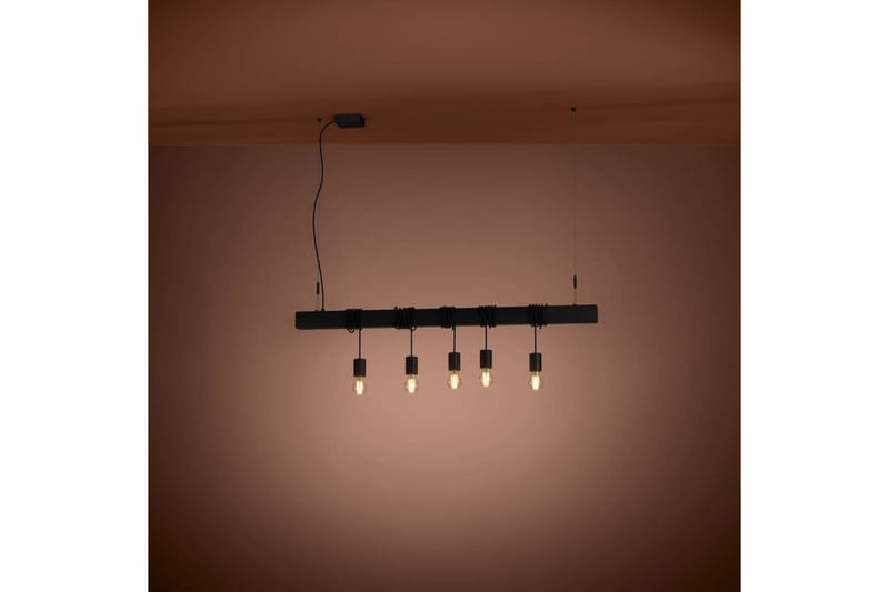 Kattovalaisin Eglo Townshend-B Musta 5 Lamppua - 5 Lamppua - Valaistus - Sisävalaistus & lamput - Ikkunavalaisimet - Ikkunavalaisin riippuva