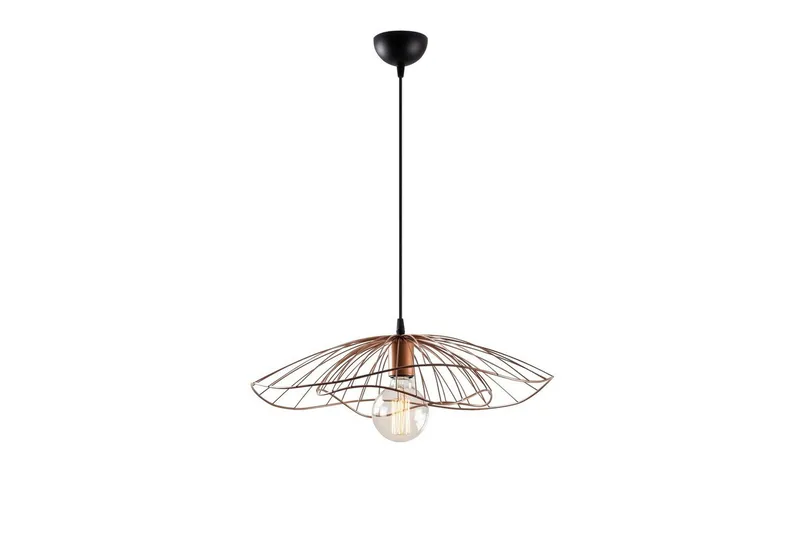 Kattovalaisin Majrula Kukka Kupari, Kupari