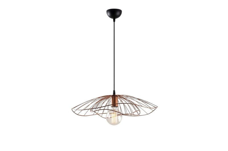 Kattovalaisin Majrula Kukka Kupari, Kupari