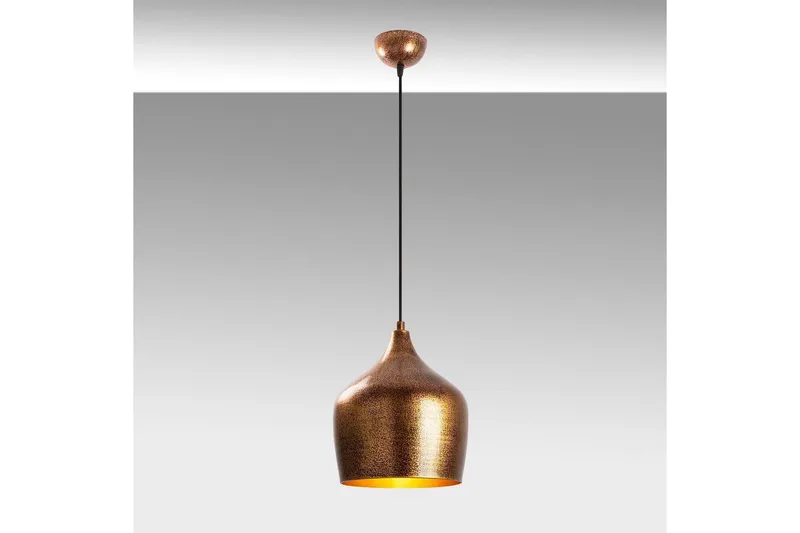 Kattovalaisin Relma Monivärinen, Monivärinen