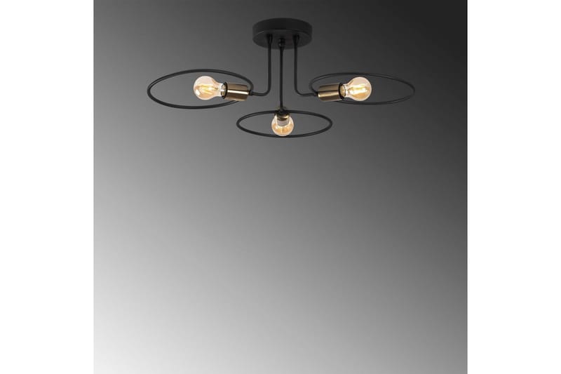 Kattovalaisin Ympyrä musta - Musta - Valaistus - Sisävalaistus & lamput - Ikkunavalaisimet - Ikkunavalaisin riippuva