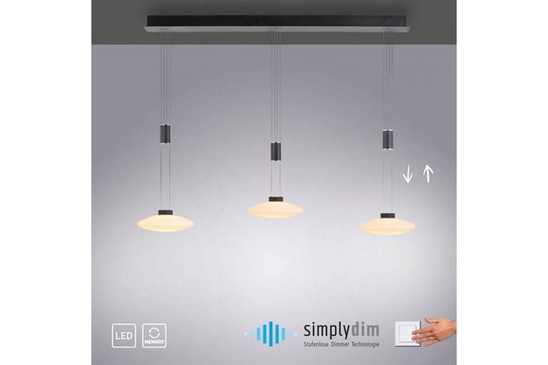 Lautada Paul Neuhaus Kattovalaisin - Valaistus - Sisävalaistus & lamput - Ikkunavalaisimet - Ikkunavalaisin riippuva