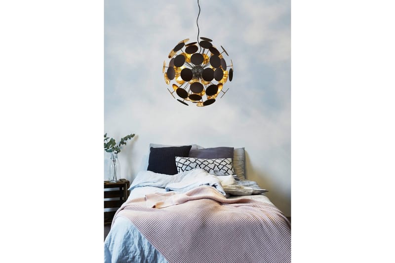 Riippuvalaisin TRIO Discalgo Mattamusta - Mattamusta - Valaistus - Sisävalaistus & lamput - Ikkunavalaisimet - Ikkunavalaisin riippuva