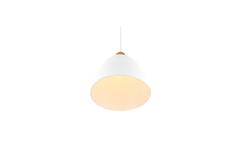 Riippuvalaisin TRIO Jagger Mattavalkoinen - Mattavalkoinen - Valaistus - Sisävalaistus & lamput - Ikkunavalaisimet - Ikkunavalaisin riippuva