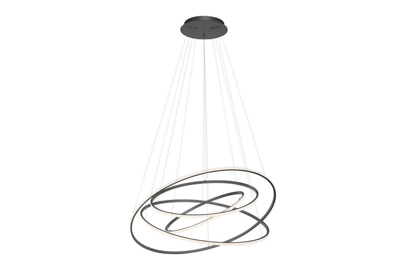 Tessara Paul Neuhaus Kattovalaisin, undefined