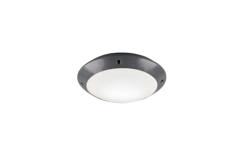 Kattovalaisin Camaro 26 cm E27 Antrasiitti - TRIO - Valaistus - Sisävalaistus & lamput - Kattovalaisin