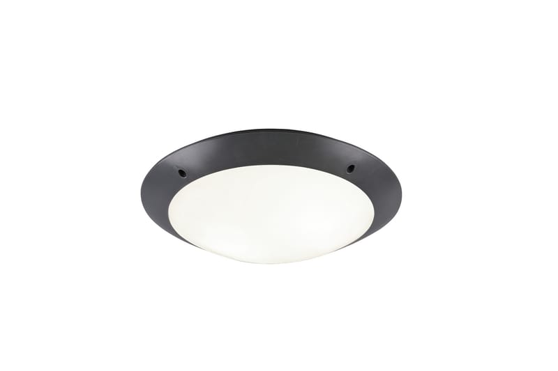 Kattovalaisin Camaro 33 cm 2xE27 Antrasiitti - TRIO - Valaistus - Sisävalaistus & lamput - Kattovalaisin