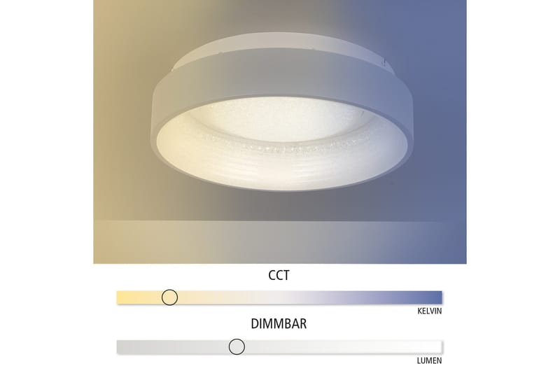 Kattovalaisin Dante Harmaa - Valaistus - Sisävalaistus & lamput - Kattovalaisin