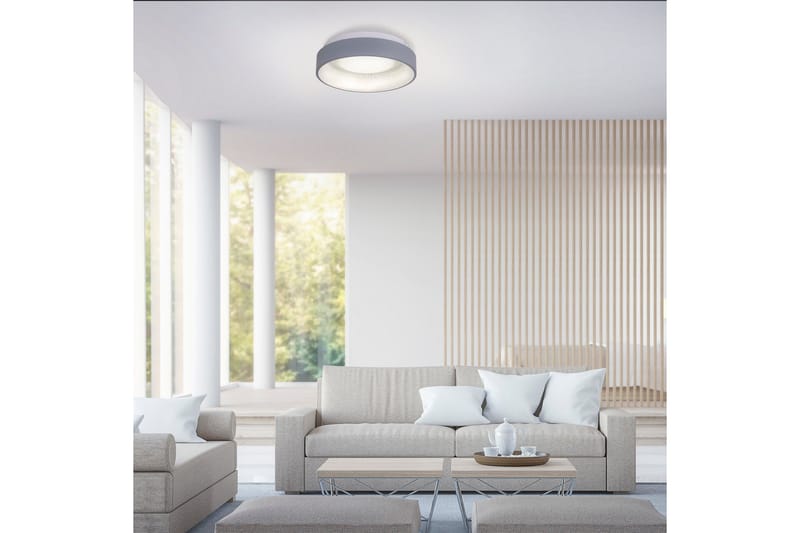 Kattovalaisin Dante Harmaa - Valaistus - Sisävalaistus & lamput - Kattovalaisin