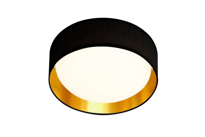 Kattovalaisin Gianna 1L LED Akryyli - Searchlight - Olohuoneen valaisin - Riisipaperivalaisin - Lightbox - Tiffanylamppu - Verkkovalaisin - Kaarivalaisin - Kattovalaisin
 - Kattovalaisin makuuhuone - Riippuvalaisimet - Kattovalaisin keittiö - PH lamppu - Ikkunavalaisin riippuva