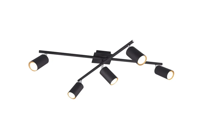 Kattovalaisin Marley Mattamusta, TRIO