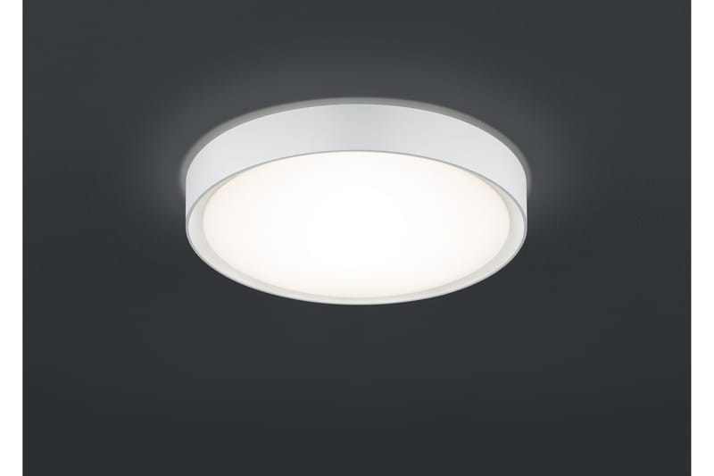 LED-Kattovalaisin Clarimo Ø33 cm Valkoinen, TRIO