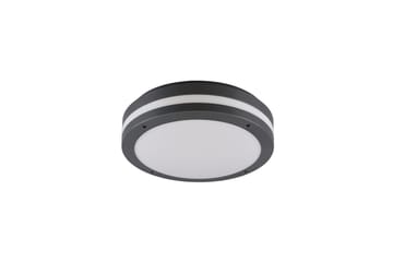 LED-Kattovalaisin Kendal Antrasiitti - TRIO - Valaistus - Sisävalaistus & lamput - Kattovalaisin