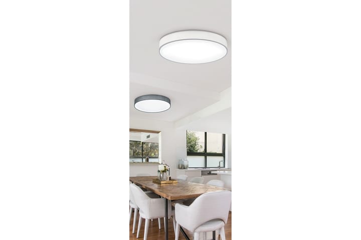 LED-Kattovalaisin Lugano 60 cm Harmaa - TRIO - Olohuoneen valaisin - Riisipaperivalaisin - Lightbox - Tiffanylamppu - Verkkovalaisin - Kattovalaisin makuuhuone - Kaarivalaisin - Kattovalaisin
 - Riippuvalaisimet - Kattovalaisin keittiö - PH lamppu - Ikkunavalaisin riippuva