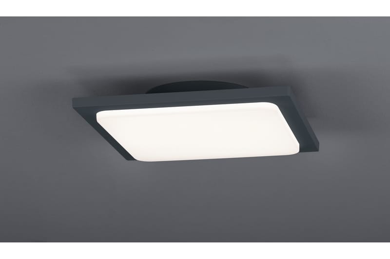 LED-Kattovalaisin Trave 18W Musta - TRIO - Valaistus - Sisävalaistus & lamput - Kattovalaisin