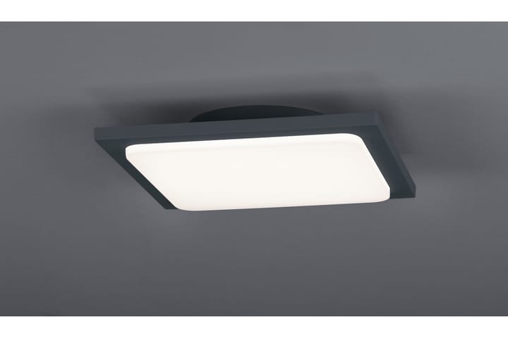 LED-Kattovalaisin Trave 18W Musta - TRIO - Olohuoneen valaisin - Riisipaperivalaisin - Lightbox - Tiffanylamppu - Verkkovalaisin - Kattovalaisin makuuhuone - Kaarivalaisin - Kattovalaisin
 - Riippuvalaisimet - Kattovalaisin keittiö - PH lamppu - Ikkunavalaisin riippuva