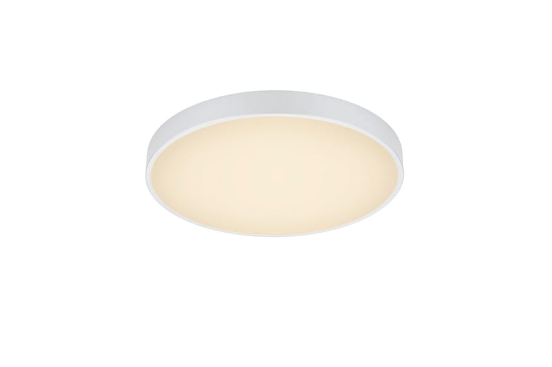 LED-Kattovalaisin Waco 49,50 cm Mattavalkoinen - Trio Lighting - Valaistus - Sisävalaistus & lamput - Kattovalaisin