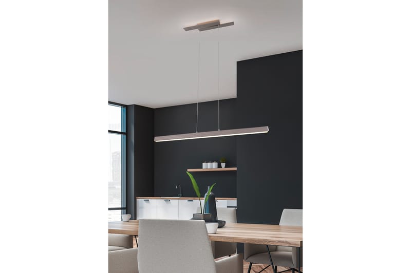 LED-Riippuvalaisin Belfast Harjattu Teräs - TRIO - Valaistus - Sisävalaistus & lamput - Kattovalaisin