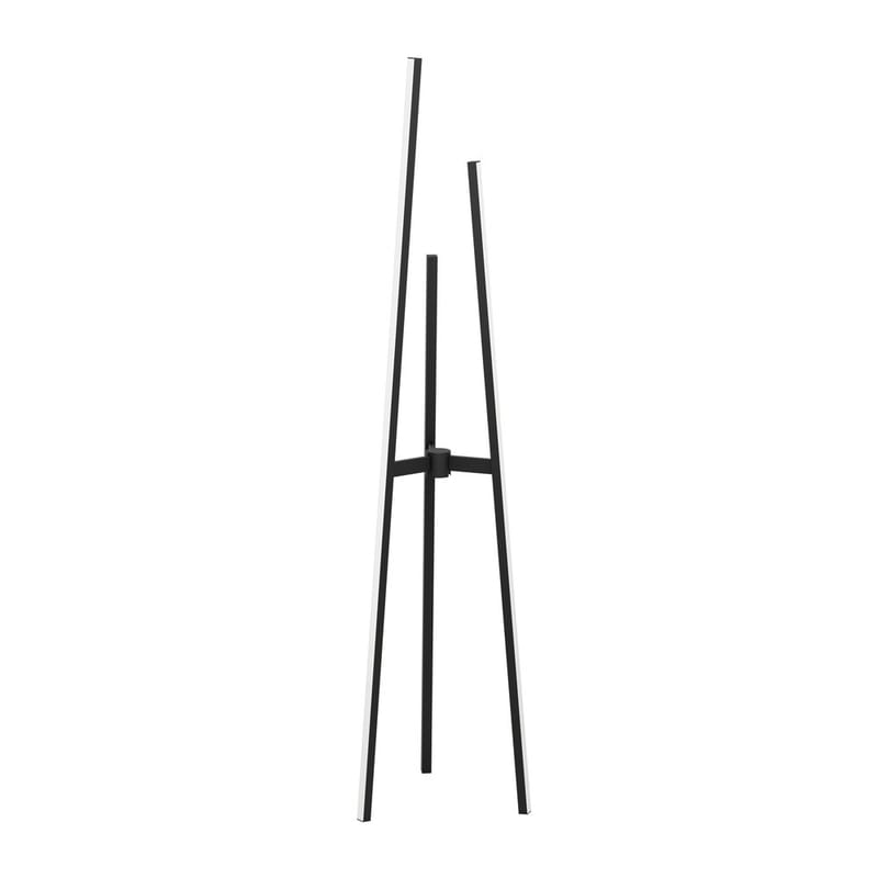 Lattiala Mongolana, 35,5 cm