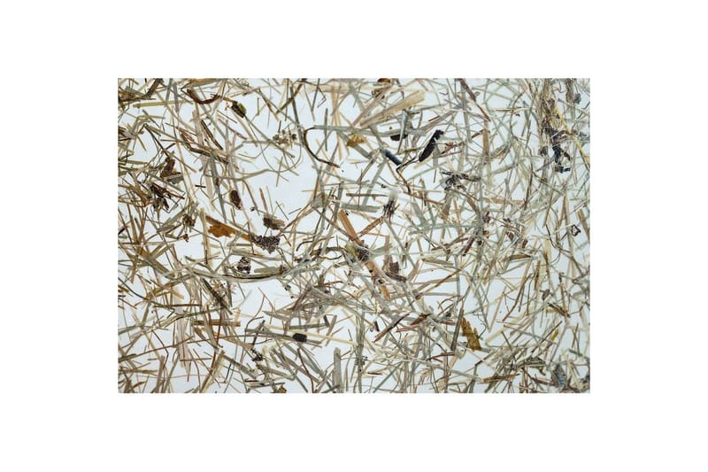 Lattiavalaisin Eglo Hontongas Ruskea - Valaistus - Sisävalaistus & lamput - Lattiavalaisin - 3-vartinen lattiavalaisin