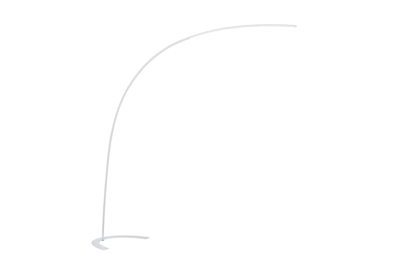 Lattiavalaisin Shanghai Valkoinen, TRIO