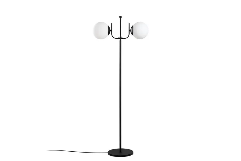 Sudattiavalaisin Sarvi Musta, Musta