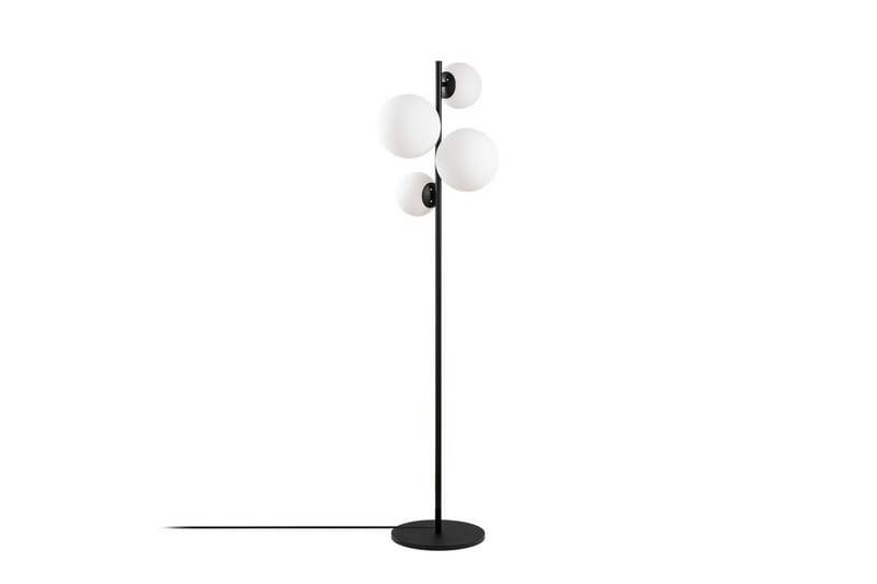 Sudattiavalaisin Subin Musta / Valkoinen, Musta / Valkoinen