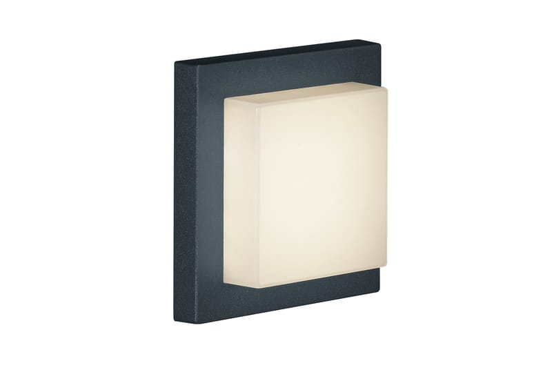 LED-Katto/Seinävalaisin Hondo 3,5W Musta - TRIO - Valaistus - Sisävalaistus & lamput - Seinävalaisimet