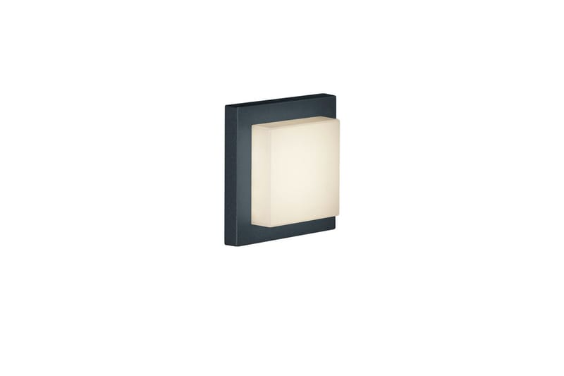LED-Katto/Seinävalaisin Hondo 3,5W Musta - TRIO - Valaistus - Sisävalaistus & lamput - Seinävalaisimet