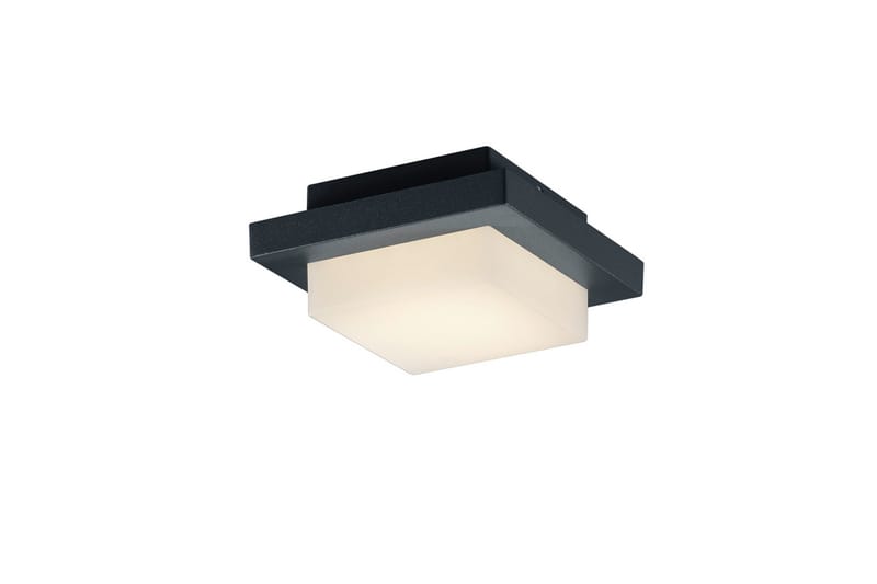 LED-Katto/Seinävalaisin Hondo 3,5W Musta - TRIO - Valaistus - Sisävalaistus & lamput - Seinävalaisimet