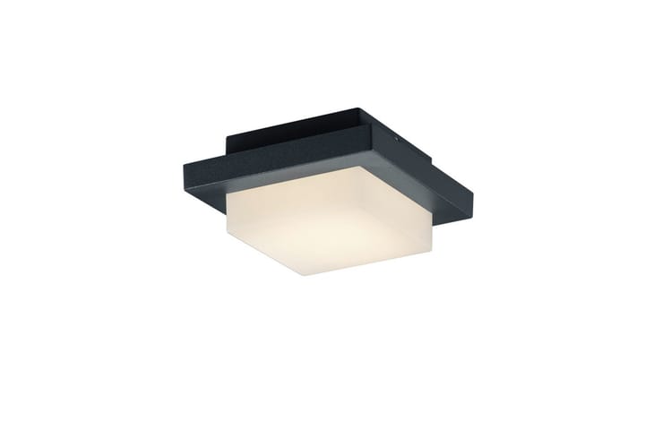 LED-Katto/Seinävalaisin Hondo 3,5W Musta - TRIO - Riisipaperivalaisin - Kaarivalaisin - Seinävalaisimet - Tiffanylamppu - Verkkovalaisin - PH lamppu - Lightbox