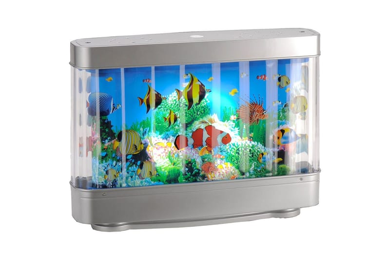 Basti Paul Neuhaus, undefined