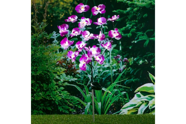 HI Aurinkoenergialla toimiva puutarhan LED orkidea valaisin - Purppura - Aurinkokennovalaistus - LED-valaistus ulkokäyttöön - Ulkovalaistus