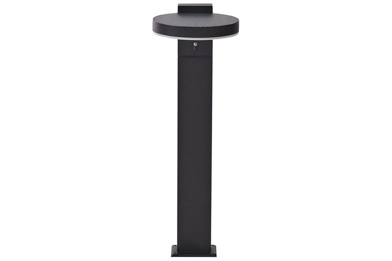 Hydra LED Aurinkokennovalaisin 50 cm, Musta