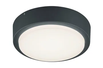 LED-seinävalaisin Breg Ø20 cm Antrasiitti - TRIO - Valaistus - Ulkovalaistus - Julkisivuvalaistus