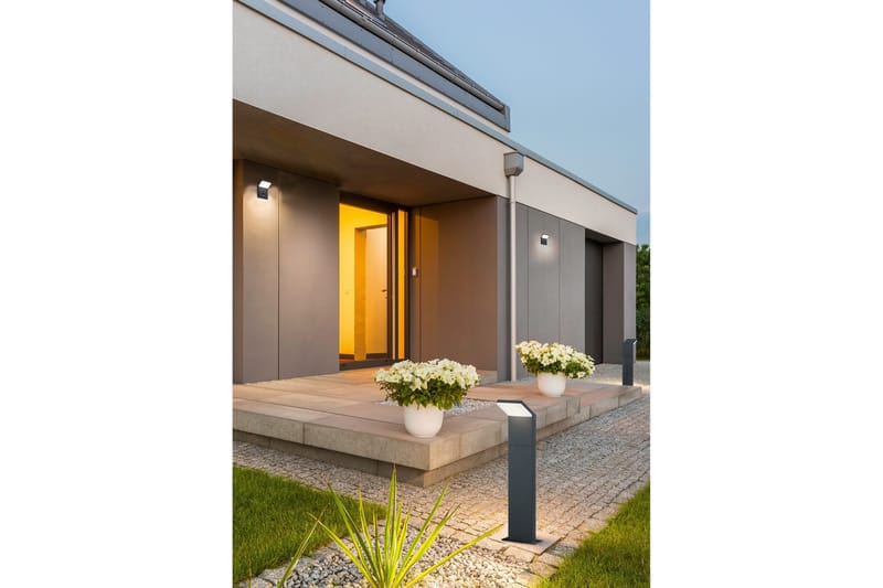 LED-Seinävalaisin Pearl - TRIO - Valaistus - Ulkovalaistus - Julkisivuvalaistus