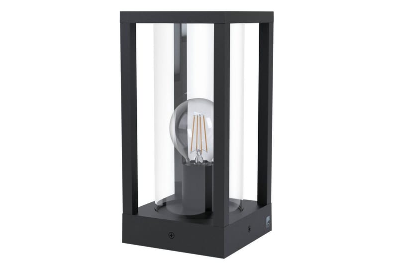 Pollari Eglo Cascinetta, Musta